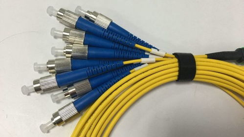 弥补西线缺陷，印度斥巨资铺设保密光缆却遇尴尬困境